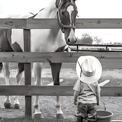 7ee761319140092d66c6a8834830e193