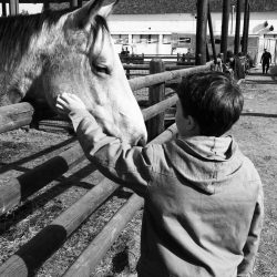 96b604a321925f401cf41cd18f624c2c