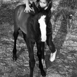 b41ae653-c375-48d8-97c4-d17920e05525